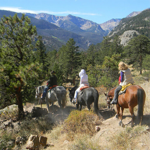 horse riding in the Sierra de las Nievess